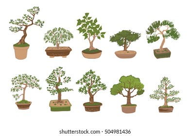 bonsai tree vector set