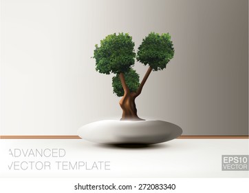 Bonsai tree. Vector template