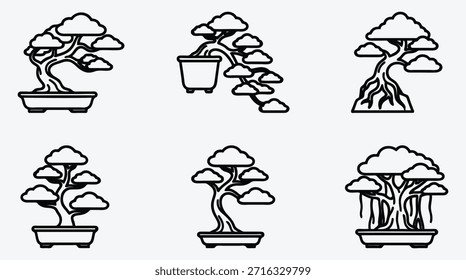 Bonsai-Bäume in Töpfen