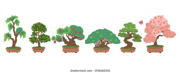 Bonsai trees set isolated on white background. Vector graphics.