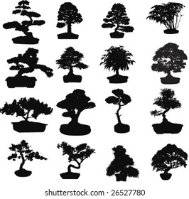 Bonsai tree-vector