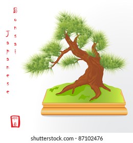 Bonsai tree.Vector illustration of Japanese traditional culture.