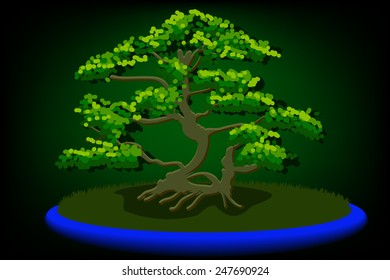 bonsai vector