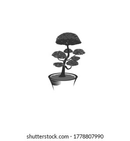 Bonsai-Vektorgrafik auf Schwarz-Weiß, einzeln auf Weiß