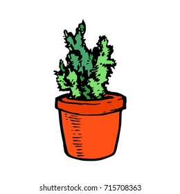 bonsai wood plant in the pot hand drawn ink sketch on white background outline stock vector illustration coloring book page
