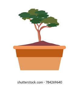 bonsain on a pot icon