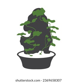 Bonsei logo vector illustration design template