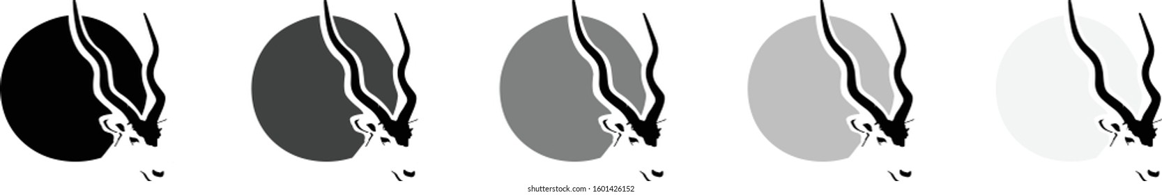 Bontebok / South African animal with curved horns