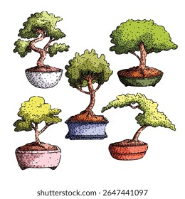 árvore bonzai conjunto desenhado à mão. molhar o solo, fiação de fertilizantes, aparando o estilo esboço vetor árvore bonzai. ilustração de cor isolada