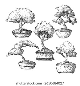 bonzai tree set hand drawn. soil watering, fertilizer wiring, trimming styling bonzai tree vector sketch. isolated black illustration