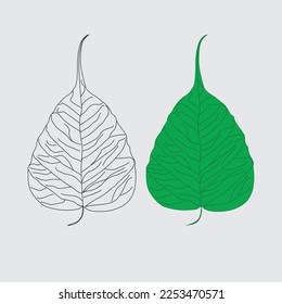 boo leaf the buddhist icon vector illustration