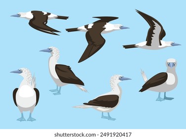 Booby Bird Blue-Footed Flying Standing Poses Vector Illustration