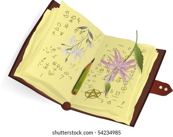 The book of the alchemist