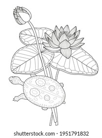 Сoloring book for children with turtle, water lily flowers and leaves, hand-drawn, black and white, doodle, sketch, vector illustration.