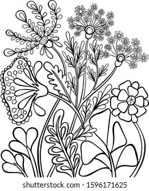 book coloring book flowers plants line vector antistress page outline illustration doodle sketch black and white isolate postcard nature