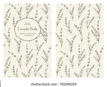 The book cover design with floral elements. Botanical book cover with lavender flower pattern. Calligraphic text - Lavender Herbs. Decorative frame or border for covers. Vector illustration.