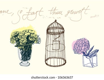 Book illustration with floral bouquets and bird cage. Vintage.