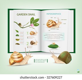Book of Knowledge Various types of live snails