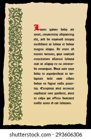 Book page in a medieval style. Place for text. Floral frame of interwoven stems, foliage and flowers. Vector edging, design element and page decoration. Vector retro background