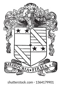 La placa del libro suele ser una pequeña etiqueta impresa o decorativa pegada en un libro, dibujo de línea vintage o ilustración de grabado.