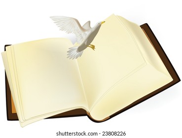 book and a seagull