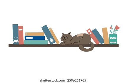 Book shelves. Books, cat and tea on the rack. Interior design. Vector flat illustration.