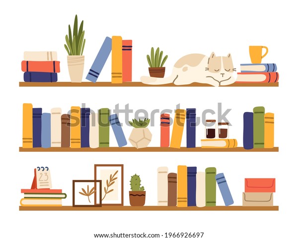 Empty book rack 4,355 รายการ ภาพ ภาพสต็อกและเวกเตอร์ | Shutterstock