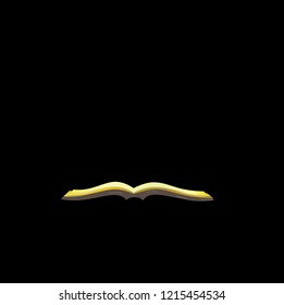 book , vector illustration.