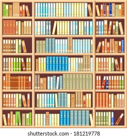 Bookcase full of different books