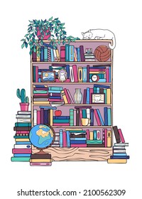 Bookcase, library, book stand with a sleeping cat on it, vector drawing