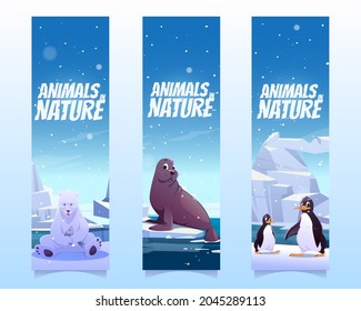 Bookmarks with penguins, polar bear and seal on floe in sea. Vector vertical banners of animals in nature with cartoon illustration of wild animals of Antarctica, North pole and Alaska