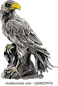 Books and eagle illustration for tatoo