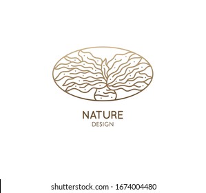 Boophone haemanthoides flower. Linear logo of succulent relic species. Succulent Karoo. Growing bulb icon. Vector illustration oval badge of house plant, botanical logo. Home garden shop symbol.