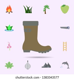 Boot colored icon. Universal set of nature for website design and development, app development