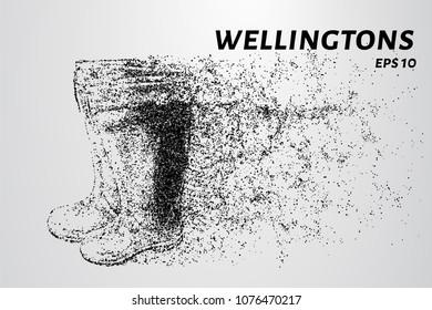 Boots of the particles. A pair of rubber boots consists of dots and circles. Vector illustration.
