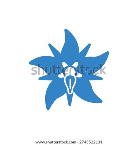Borage Flower with Cup Shape Curved Blue Petals