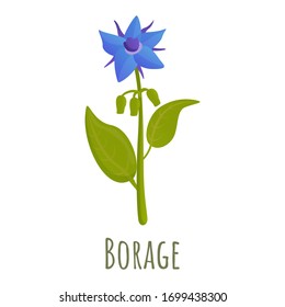 Borage flower icon. Cartoon of borage flower vector icon for web design isolated on white background