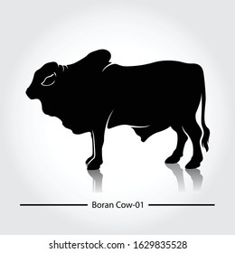 Boran Cow Silhouette Vector Template. This silhouette suitable for icon, symbol, businesses, product pic, restaurants serving beef dishes, or can also be used for cow farming business.