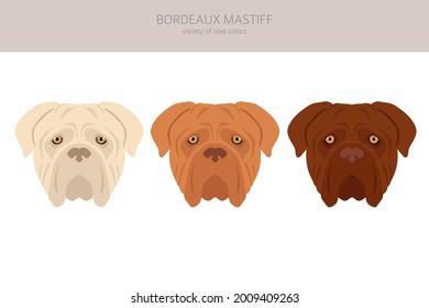 how much does a french mastiff puppy cost