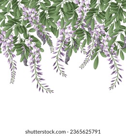 Border with acacia flowers and leaves. Vector