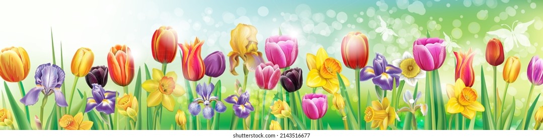 Border from arrangement with multicolor spring flowers