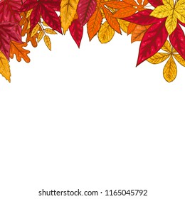 Border with autumn leaves. Design element for emblem, poster, card, banner, flyer, brochure. Vector illustration
