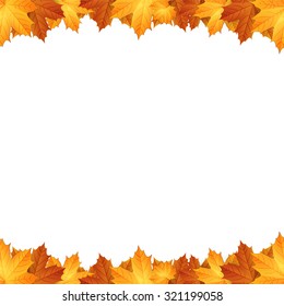 Border of autumn maples leaves.