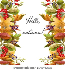Border with autumn yellow leaves and berries. 