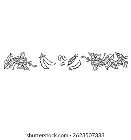 border beans line black and white illustration hand drawn vector
