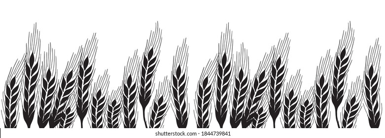 Border of black ears, spikelets, spica, isolated on white  background. Sketch, hand drawing Flat design vector illustration