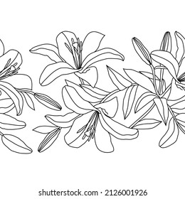Border with black line lily on a white background