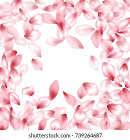 Border of blossom flying petals isolated on white invitation background, flower parts wedding decorative frame. Pink blossom elements, flower petals valentines day background border.
