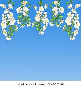 border of blossoming tree branches on a blue background