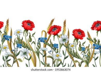 Border with botanical flowers such as poppies, chamomile, ear of wheat and other